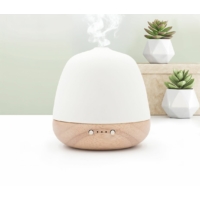 Kép 2/4 - CERA ULTRAHANGOS DIFFÚZOR & "ÜNNEP" DIFFÚZORKEVERÉK BIO