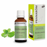 Kép 1/2 - BORSMENTA – MENTHA PIPERITA BIO 30 ML