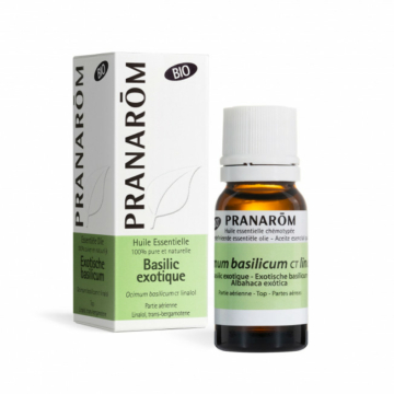 BAZSALIKOM CT LINALOL - OCIMUM BASILICUM CT LINALOL BIO 10 ML