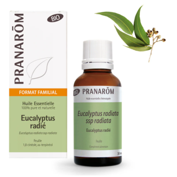 EUKALIPTUSZ RADIATA – EUCALYPTUS RADIATA 30 ML