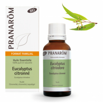 VIETNÁMI EUKALIPTUSZ – EUCALYPTUS CITRIODORA BIO 30 ML