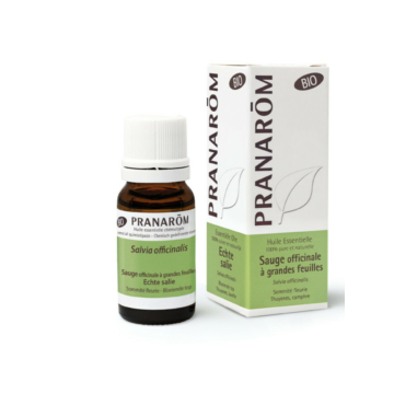 ORVOSI ZSÁLYA – SALVIA OFFICINALIS BIO