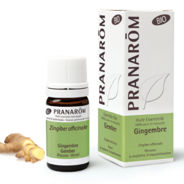 GYÖMBÉR -ZINGIBER OFFICINALIS BIO