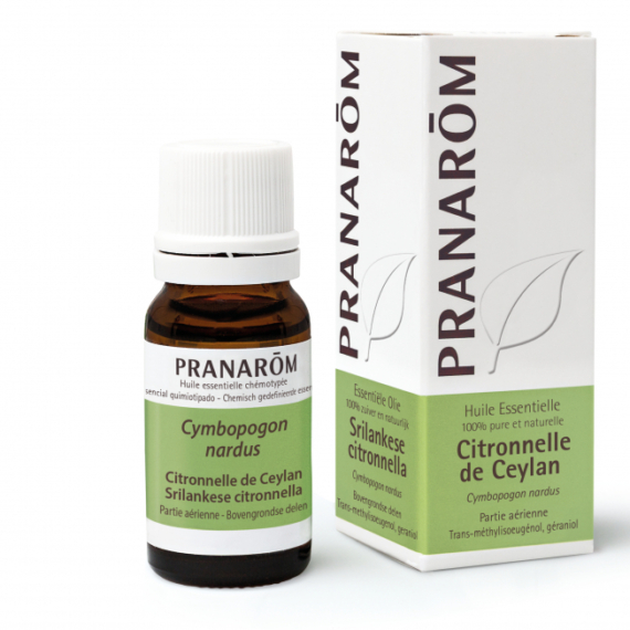 CEYLONI FAHÉJ – CINNAMOMUM ZEYLANICUM