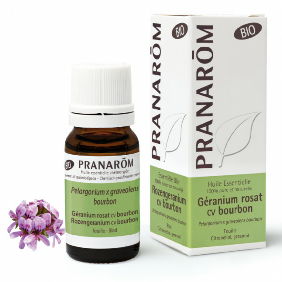 BOURBON GERÁNIUM – PELARGONIUM X GRAVEOLENS BOURBON BIO