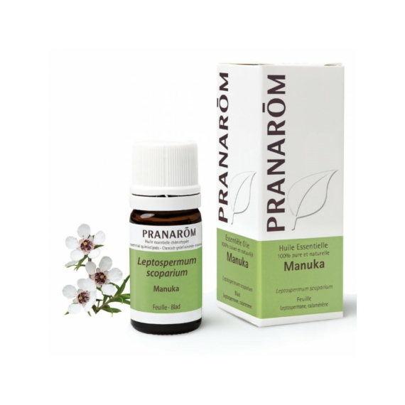 MANUKA - LEPTOSPERMUM SCOPARIUM