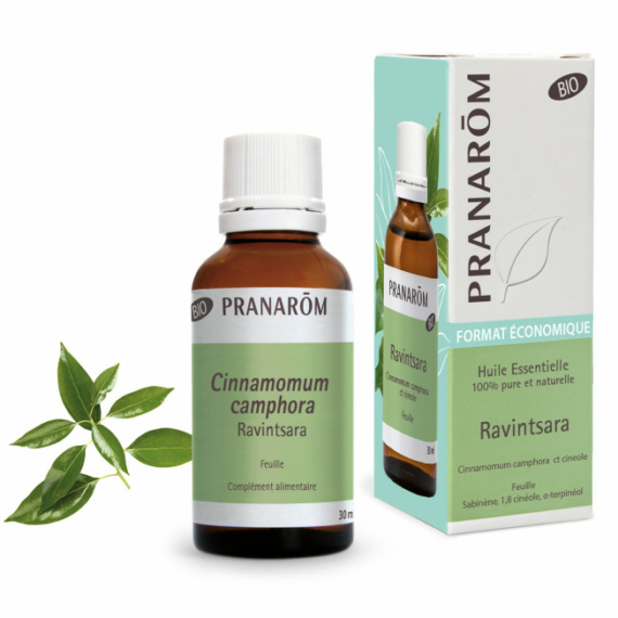 MADAGASZKÁRI KÁMFORFA/ RAVINTSARA - CINNAMOMUM CHAMPHORE CT CINEOLE BIO 30 ML
