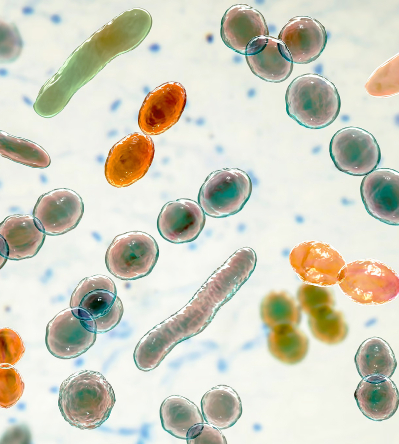 MI AZ A MIKROBIOM ÉS MILYEN HATÁSSAL VAN AZ EGÉSZSÉGÜNKRE?  1. rész